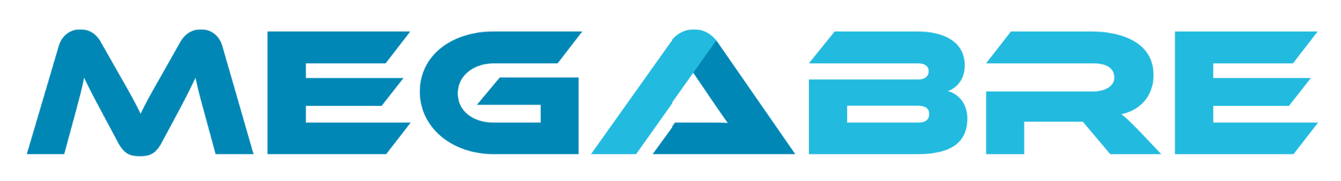 Tourism Manage Panel